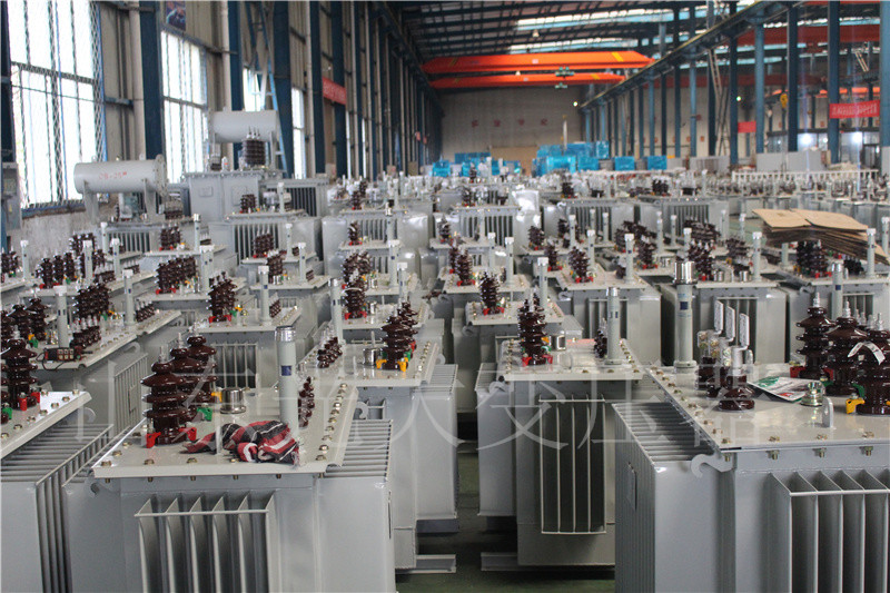 平陆S22-800KVA/10KV